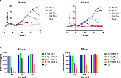 Unraveling the Effects of a Talimogene Laherparepvec (T-VEC)-Induced Tumor Oncolysate on Myeloid Dendritic Cells